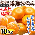 みかん 10kg 紀南の秀逸みかん 和歌山産 ご家庭用 温州 ミカン 柑橘 蜜柑 mikan 送料無料 食品
