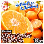 ショッピングkg みかん 10kg みやもっちゃんのうまかみかん 熊本河内産 ご家庭用 熊本 温州みかん 大玉 数量限定 柑橘 蜜柑 送料無料 食品