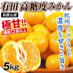 ショッピング果物 みかん 有田 5kg 有田高糖度みかん 糖度12度以上 和歌山産 極甘 温州 蜜柑 ミカン mikan 送料無料 食品