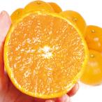 みかん 5kg 南紀黒潮 せとか 和歌山産 ご家庭用 ゼリー果肉 高糖度 送料無料 食品