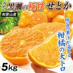  мандарин 5kg чёрный .. высшее .. или Wakayama производство . юг название производство земля . для бытового использования весна .. высококлассный mi can .. меласса .mikan бесплатная доставка еда страна ... покупка 