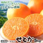  мандарин 5kg. или Saga производство . для бытового использования .. бесплатная доставка еда страна ... покупка 