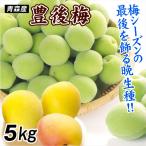 梅 5kg 豊後梅 青森産 ぶんご 青梅 黄梅 常温便 ご家庭用 送料無料 食品