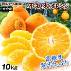 みかん 10kg 訳ありでも美味しい 不知火オレンジ 大分産 しらぬひ オレンジ デコ 柑橘 蜜柑 送料無料 食品