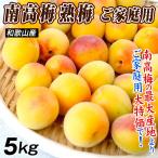  слива 5kg. для бытового использования юг высота слива *. слива Wakayama производство бесплатная доставка еда 
