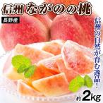 もも 長野産 信州長野の桃 約2kg ご家庭用 甘〜く熟した桃 旬の白桃を厳選 果肉が緻密でジュ−シー 送料無料 食品