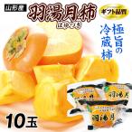 ka. Yamagata производство перо горячая вода месяц (. ...) рефрижератор хурма 10 шар . внутри хурма шт упаковка подарок для бесплатная доставка еда 