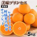  мандарин Ehime производство прекрасный тест Princess 5kg. для бытового использования бесплатная доставка . Princess такой же товар вид еда страна ..