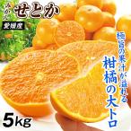  мандарин Ehime производство сильно сниженная цена . или 5kg. для бытового использования бесплатная доставка еда страна ..