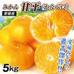  мандарин Ehime производство сильно сниженная цена . flat 5kg. для бытового использования бесплатная доставка .... can pei еда страна ..