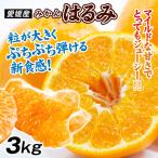  мандарин 3kg. .. Ehime производство . для бытового использования бесплатная доставка пузырчатая упаковка ... подобный еда чувство весна .. высококлассный mi can .. меласса . еда 