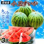 su..3 шар Ehime производство маленький шар ........*.. Izumi какой-нибудь . доставка бесплатная доставка запад . еда страна ..
