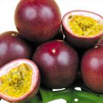  Nankoku плоды Okinawa производство маракуйя 1kg 1 коробка страна ..