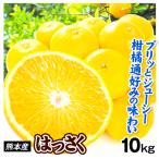 みかん 10kg はっさく 熊本産 ご家庭用 八朔 柑橘 果物 フルーツ 送料無料 食品