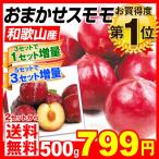 スモモ おまかせスモモ 和歌山県産 500g1組 2セット目から送料無料 3セット目から増量あり プラム 西洋スモモ