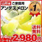 メロン 約4kg 山形県産 アンデスメロン 3〜6玉 ご家庭用 訳あり ネットメロン 露地栽培 青肉メロン 数量限定 果物