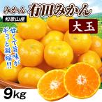 мандарин 9kg Arita большой шар мандарин Wakayama производство бесплатная доставка еда 