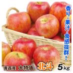 りんご 5kg 青森産 大特価 北斗 （11〜23玉） 1箱 ご家庭用 ほくと 希少品種 送料無料 林檎 フルーツ食品 国華園