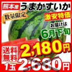 スイカ 1玉 熊本県産 うまかすいか 1箱 西瓜 果物 数量限定