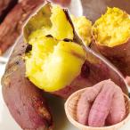 さつまいも 生芋 10kg（5kg×2箱）熊本産 紅はるか（S〜2L）ご家庭用 甘藷 サツマイモ 野菜 国華園