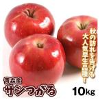 りんご 青森産 大特価 サンつがる（10kg）24〜56玉 ご家庭用 数量限定 早生品種 林檎 果物 フルーツ 国華園