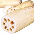  renkon Kumamoto производство грязь имеется renkon 4kg. для бытового использования бесплатная доставка еда 