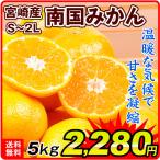 みかん 南国育ちみかん(5kg)ご家庭用 宮崎産 2S〜2L ポイント消化 数量限定 フルーツ 果物 国華園