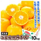 みかん ご家庭用 熊本産みかん(10kg)送料無料 蜜柑 柑橘 フルーツ 果物 食品 国華園