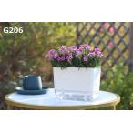  настольный размер низ водоснабжение посадочная машина модный посадочная машина горшок pot 