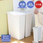 天馬スマートペール45L本体のみ日...