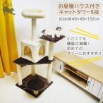 猫 キャットタワー 5段 お昼寝 ハウス付き 「 CT-170037 」 約49×49×132cm