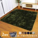 ホットカーペットセット 2畳用 「 Dストリーム ホットカーペット2点セット 」 本体：176×176cm、カバー：185×185cm ラグ シャギー調 正方形