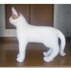  кошка ( обычный type ) белый чай 1146