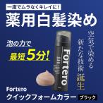 【医薬部外品】白髪染め Fortero クイックフォームカラー［ブラック］(40g)1本 男性用 ヘアカラー 染毛剤 毛染 フォルテロ