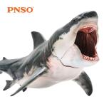 PNSO メガロドン ホホジロザメ パットン サメ 海洋動物 生物 魚類 フィギュア PVC モデル プラモデル おもちゃ プレミアム 15