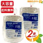 ≪410ml×240枚≫【P&W】ペーパーボウル ◇電子レンジOK◇ 使い捨て 紙皿 食器 皿 器【costco コストコ通販】