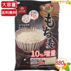 ≪800g+80g×3袋入≫【はくばく】もち麦 大容量 計2640g 食物繊維 水溶性 不溶性 白麦 大麦 もち麦ごはん サラダ スープ【コストコ】