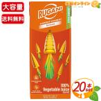 【RUGANI】ルガーニ 100% キャロットジュース 大容量 3300ml (330ml×10本入)×2セット にんじんジュース ニンジンジュース 無添加 野菜ジュース【コストコ】