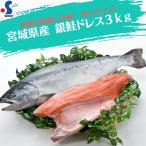 2024 サーモン 刺身 銀鮭 ドレス (3kg) 宮城県 限定品