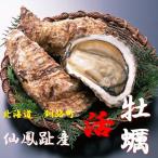  Кусиро город блок ... производство ...S размер 10 шт 