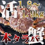 ショッピングタラバガニ 活タラバガニ 1尾 1.8〜1.9kg前後 北海道特産品 ギフト お歳暮 お中元 カニ かに 蟹