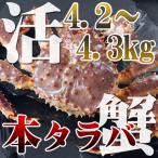 . камчатский краб 1 хвост 4.2~4.3kg передний и задний (до и после) Hokkaido специальный продукт подарок подарок по случаю конца года подарок на Bon Festival краб краб .