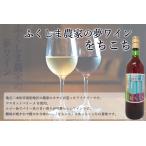  Япония вино .... мускат беж Lee A 720ml местного производства . расческа . сельское хозяйство дом. сон вино 
