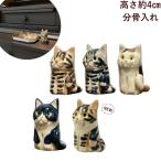  Shigaraki . домашнее животное минут . inserting минут .. вид также можно выбрать украшение интерьер кошка Ame sho три шерсть кошка чай тигр пчела трещина 