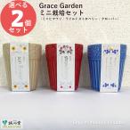  растения культивирование выращивание комплект 2 шт. комплект Grace Garden Grace сад лесная земляника hi вокруг clover простой подарок подарок . новый керамика 