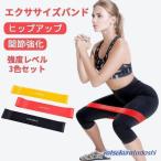 エクササイズバンド トレーニングチューブ トレーニング ストレッチ 筋トレヨガ 強度別3本セット トレーニングチューブ ループバンド 美尻 ゴムバンド