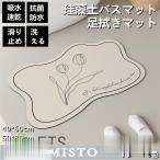 珪藻土バスマット 玄関マット ソフトバスマット 割れない珪藻土 足マット 足拭きマット お風呂マット キッチンマット 吸水 速乾 手入れ簡単 収納便利