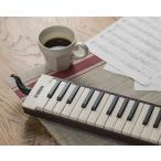 ヤマハ　大人のピアニカ　P-37EBK