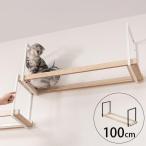  кошка для кошка кошка подножка кошка walk прозрачный MYZOO мой Zoo AVENUE 100cm прозрачный 