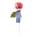 キャンディープチギフト お祭りシリーズりんご飴 りんご風味
